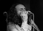 IMG 5886  Vincent Martinez (chant, guitare),  Jansen Press (guitare),  Olivier Brossard (basse, harmonica), Jimmy Montout (batterie) : 2016, CAROUSEL VERTIGO, CLASSIC ROCK, CONCERT, DR FEELGOOD