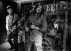 IMG 5897  Vincent Martinez (chant, guitare),  Jansen Press (guitare, chant),  Olivier Brossard (basse, harmonica), Jimmy Montout (batterie) : 2016, CAROUSEL VERTIGO, CLASSIC ROCK, CONCERT, DR FEELGOOD
