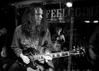 IMG 5952  Vincent Martinez (chant, guitare),  Jansen Press (guitare, chant),  Olivier Brossard (basse, harmonica), Jimmy Montout (batterie) : 2016, CAROUSEL VERTIGO, CLASSIC ROCK, CONCERT, DR FEELGOOD
