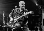 IMG 7038  Cisco Herzhaft : 2017, BILLY BOB'S, BLUES, CISCO HERZHAFT, CONCERT
