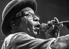 IMG 7057  Archie Lee Hooker et Jake Calypso : 2017, ARCHIE LEE HOOKER, BILLY BOB'S, BLUES, CONCERT, JAKE CALYPSO