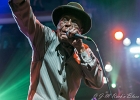 IMG 7100  Archie Lee Hooker et Jake Calypso : 2017, ARCHIE LEE HOOKER, BILLY BOB'S, BLUES, CONCERT, JAKE CALYPSO