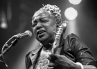 IMG 7217  Pat Wilder (chant, guitare), Francis Campello (basse), Pierre Postorino (guitare) et Fred Drouillart (batterie) : 2017, BILLY BOB'S, BLUES, BLUES AU FEMININ, CONCERT, PAT WILDER