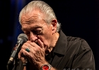 IMG 7729  Charlie Musselwhite (harmonica, voix), Matt Stubbs (guitare), Randy Bermudes (basse), June Core (batterie) : 2017, BLUES, CHARLIE MUSSELWHITE, CONCERT, DUC DES LOMBARDS