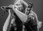 IMG 8319  Ten Years After : Ric Lee (batterie), Chick Churchill (claviers), Marcus Bonfanti (chant, guitare), Colin Hodgkinson (basse) : 2017, BLUES ROCK, CONCERT, LE BEFFROI, MONTROUGE, TEN YEARS AFTER