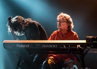 IMG 8378  Ten Years After : Ric Lee (batterie), Chick Churchill (claviers), Marcus Bonfanti (chant, guitare), Colin Hodgkinson (basse) : 2017, BLUES ROCK, CONCERT, LE BEFFROI, MONTROUGE, TEN YEARS AFTER