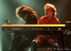 IMG 8380  Ten Years After : Ric Lee (batterie), Chick Churchill (claviers), Marcus Bonfanti (chant, guitare), Colin Hodgkinson (basse) : 2017, BLUES ROCK, CONCERT, LE BEFFROI, MONTROUGE, TEN YEARS AFTER