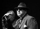 IMG 8642  Freddy Miller (chant), Thierry Angot (guitare), Patrick Guarino (basse), Philippe Perronnet (saxophone), Christophe Bertin (batterie) et Cédric Christophe (claviers) : 2017, BLUES, BLUES ROCK, CONCERT, FREDDY MILLER, FREDDY MILLER ET LE BAND, MENNECY, NUIT DU BLUES, SOUL