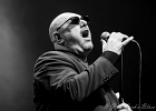 IMG 8688  Freddy Miller (chant), Thierry Angot (guitare), Patrick Guarino (basse), Philippe Perronnet (saxophone), Christophe Bertin (batterie) et Cédric Christophe (claviers) : 2017, BLUES, BLUES ROCK, CONCERT, FREDDY MILLER, FREDDY MILLER ET LE BAND, MENNECY, NUIT DU BLUES, SOUL