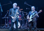 IMG 8709  Freddy Miller (chant), Thierry Angot (guitare), Patrick Guarino (basse), Philippe Perronnet (saxophone), Christophe Bertin (batterie) et Cédric Christophe (claviers) : 2017, BLUES, BLUES ROCK, CONCERT, FREDDY MILLER, FREDDY MILLER ET LE BAND, MENNECY, NUIT DU BLUES, SOUL