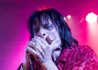 IMG 8881  Imperial Crowns : Jimmie Wood  (chant, harmonica, guitare),  JJ Holiday (guitare, chant), Billy Sullivan (batterie), Danny Avila (basse) : 2017, BLUES ROCK, CONCERT, IMPERIAL CROWNS, LA DAME DE CANTON