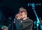 IMG 9971  Fred Chapellier &#38; The Gents Featuring Dale Blade : Fred Chapellier (guitare, chant), Guillaume Destarac (batterie), Christophe Garreau (basse), Philippe Billoin (claviers), Pascal &#34;bako&#34; Mikaelian (harmonica) et Dale Blade (chant) : 2017, CONCERT, DALE BLADE, FRED CHAPELLIER, FRED CHAPELLIER AND THE GENTS, NEW MORNING