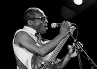 IMG 10022  Shawn Holt (guitare, vocal), Tom Holland (guitare, vocal), Russell Jackson (basse, vocal), Vernal Taylor (batterie) : 2017, BLUES, CONCERT, JAZZ CLUB LIONEL HAMPTON, RUSSELL JACKSON, SHAWN HOLT, TOM HOLLAND, VERNAL TAYLOR