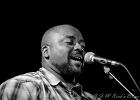 IMG 10024  Shawn Holt (guitare, vocal), Tom Holland (guitare, vocal), Russell Jackson (basse, vocal), Vernal Taylor (batterie) : 2017, BLUES, CONCERT, JAZZ CLUB LIONEL HAMPTON, RUSSELL JACKSON, SHAWN HOLT, TOM HOLLAND, VERNAL TAYLOR