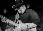 IMG 10051  Shawn Holt (guitare, vocal), Tom Holland (guitare, vocal), Russell Jackson (basse, vocal), Vernal Taylor (batterie) : 2017, BLUES, CONCERT, JAZZ CLUB LIONEL HAMPTON, RUSSELL JACKSON, SHAWN HOLT, TOM HOLLAND, VERNAL TAYLOR