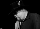 IMG 10052  Shawn Holt (guitare, vocal), Tom Holland (guitare, vocal), Russell Jackson (basse, vocal), Vernal Taylor (batterie) : 2017, BLUES, CONCERT, JAZZ CLUB LIONEL HAMPTON, RUSSELL JACKSON, SHAWN HOLT, TOM HOLLAND, VERNAL TAYLOR