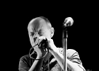 IMG 0231  The Crazy Hambones : Henry Heggen (harmonica, chant), Brian Barnett (guitar, chant), Micha Maass (batterie, chant) : BLUES, BLUES ROCK, CONCERT, LOV, THE CRAZY HAMBONES, TREMBLAY EN FRANCE
