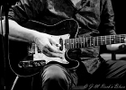 IMG 0239  The Crazy Hambones : Henry Heggen (harmonica, chant), Brian Barnett (guitar, chant), Micha Maass (batterie, chant) : BLUES, BLUES ROCK, CONCERT, LOV, THE CRAZY HAMBONES, TREMBLAY EN FRANCE