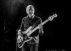 IMG 0161  LOV (Los Old Viejos) : Lorenzo Sanchez (guitare, chant), Alain Michel (chant, harmonica), Philippe Dandrimont (basse) et Pat Machenaud (batterie) : BLUES, BLUES ROCK, CONCERT, LOV, THE CRAZY HAMBONES, TREMBLAY EN FRANCE