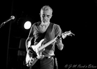 IMG 0164  LOV (Los Old Viejos) : Lorenzo Sanchez (guitare, chant), Alain Michel (chant, harmonica), Philippe Dandrimont (basse) et Pat Machenaud (batterie) : BLUES, BLUES ROCK, CONCERT, LOV, THE CRAZY HAMBONES, TREMBLAY EN FRANCE