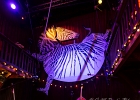 IMG 0501 : BEAUTY AND THE BEAST, BLUES, CONCERT, COUNTRY, FOLK, LE ZEBRE DE BELLEVILLE, ROCK