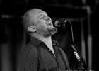 IMG 1415  Mr Mat (chant/guitare), Barefoot iano (harmonica), Denis Barthe (batterie), Olivier Mathios (basse)