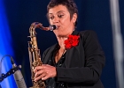 20170901-IMG 2074  Bad Mules : Denis Agenet (batterie, chant), Julien Broissand (guitare), Caroline Thomas (saxophone), Cedric Le Goff (claviers), et Josh Miller (chant, guitare) : NANTES, RENDEZ VOUS DE L ERDRE