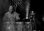 IMG 3089  Mr Bo Weavil (chant, guitare), Florian Royo (guitare), Gilles Delagrange (batterie), Igor Pichon (basse), Nicolas Mary (claviers), Yvan Don Tamayo (congas) : 2017, BEAUMONT EN VERON, BLUES, BLUES EN RABELAISIE, BLUES ROCK, CONCERT, MR BO WEAVIL, SOUL