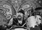 IMG 3429  Warren Haynes (chant, guitar), Matt Abts (batterie), Danny Louis (claviers, trombone, guitare), Jorgen Carlsson (basse) : 2017, BLUES ROCK, CONCERT, GOV T MULE, TRIANON