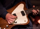 IMG 3506  Diunna Greenleaf (chant), Christone &#34;KingFish&#34; Ingram (chant, guitare), Eric Parker (guitare), Henrik Poulsen (basse), Gavin Moolchan (batterie). : 2017, BLUES, CONCERT, DIUNNA GREENLEAF, ERIC PARKER, HENRIK POULSEN, JAZZ CLUB LIONEL HAMPTON, JEROME LOUDEN, KINGFISH