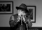 IMG 3561  Matthew Skoller (chant, harmonica), Marc Wilson (batterie), Philippe Fernandez (guitare, chant), Christophe Garreau (basse) : 2017, BLUES, CONCERT, LENOUVO COSMOS, MATTHEW SKOLLER, PHIL FERNANDEZ