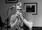 IMG 3595  Vincent Bucher (chant, harmonica) : 2017, BLUES, CONCERT, LENOUVO COSMOS, MATTHEW SKOLLER, PHIL FERNANDEZ