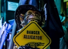 IMG 0001ex4140 : 2017, BLUES, CONCERT, JERRY T AND THE BLACK ALLIGATORS, LENOUVO COSMOS