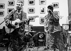 IMG 4150 : 2017, BLUES, CONCERT, JERRY T AND THE BLACK ALLIGATORS, LENOUVO COSMOS