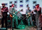 IMG 4160 : 2017, BLUES, CONCERT, JERRY T AND THE BLACK ALLIGATORS, LENOUVO COSMOS