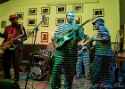 IMG 4163 : 2017, BLUES, CONCERT, JERRY T AND THE BLACK ALLIGATORS, LENOUVO COSMOS