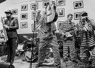 IMG 4177 : 2017, BLUES, CONCERT, JERRY T AND THE BLACK ALLIGATORS, LENOUVO COSMOS