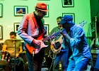 IMG 4188 : 2017, BLUES, CONCERT, JERRY T AND THE BLACK ALLIGATORS, LENOUVO COSMOS