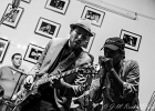 IMG 4193 : 2017, BLUES, CONCERT, JERRY T AND THE BLACK ALLIGATORS, LENOUVO COSMOS