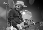 IMG 4235  Sanseverino : 2017, BATACLAN, BLUES, CONCERT, SANSEVERINO