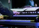IMG 4280  Wes Mackey (guitare, vocal), Matthieu Fromont (harmonica), Fabien Saussaye (clavier), Simon &#34;Shuffle&#34; Boyer (batterie). : 2017, BLUES, CONCERT, FABIEN SAUSSAYE, JAZZ CLUB LIONEL HAMPTON, MATTHIEU FROMONT, SIMON BOYER, WES MACKEY