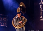 20180129-IMG 5079  Delgrès :  Pascal Danaë (chant, guitare), Rafgee (tuba, sousaphone), Baptiste (batterie) : 2018, ALHAMBRA, BLUES, CONCERT, DELGRES, FESTIVAL AU FIL DES VOIX