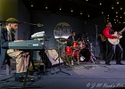 IMG 6259  Eddie Cotton Jr. (guitare, vocal), Darryl Cooper (claviers), Myron Bennett (basse), Kendero Webster (batterie) : 2018, BLUES, CONCERT, EDDIE COTTON JR, JAZZ CLUB LIONEL HAMPTON