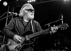 20180530-IMG 7565  Mr John et le Comité Central du Blues : Mister John (chant, guitare), Fabrice Alombert (guitare),-Benoît Grisoni (basse),  Luc Despioch (batterie), XX (claviers) : 2018, CONCERT, MISTER JOHN et le COMITE CENTRAL du BLUES, NEW MORNING, NUIT DU BLUES EN FRANCAIS