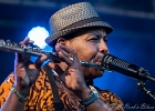 IMG 7833  Selwyn Birchwood (chant, guitare), Regi Oliver (sax baryton, flûte traversière), Courtney Girlie (batterie), Donald « Huuf » Wright (basse) : 2018, BLUES, CONCERT, HARGEVILLE, SELWYN BIRCHWOOD, TRACTEUR BLUES