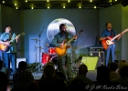 IMG 8725  Marquise Knox (guitare, chant), Matthew Lawder (guitare), Augustus Thornton (basse), Michael Battle (batterie), : 2018, AUGUSTUS THORNTON, BLUES, CONCERT, JAZZ CLUB LIONEL HAMPTON, MARQUISE KNOX, MATTHEW LAWDER, MICHAEL BATLLE