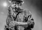 20180714-221619-IMG 8982 : 2018, CAHORS, CAHORS BLUES FESTIVAL, CONCERT, STEVE STRONGMAN