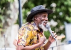 20180718-174035-IMG 9446 : 2018, CAHORS, CAHORS BLUES FESTIVAL, CONCERT, ROBERT FINLEY