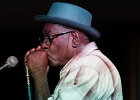 20180914-IMG 0250  Nora Jean Bruso (chant), Toronzo Cannon (chant, guitare), Carl Weathersby (chant, guitare), Wayne Baker Brooks (chant, guitare), Richard &#34;Rip Lee&#34; Pryor (chant, harmonica), Liz Mandeville (chant, washboard), David Forte (basse), Luca Chiellini (claviers), &#34;Pooky Styx» Melvin Carlisle (batterie) : 2018, BLUES, CONCERT, EUROPEAN BLUES CRUISE, GENES, ITALIE, TORONZO CANNON