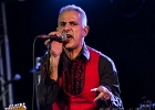 20181004-IMG 0329  Red (chant, harmonica), Jacker (guitare), Toma (basse), Guillermo (batterie), Ben (claviers) : 2018, CONCERT, NEW MORNING, SHAGGY DOGS